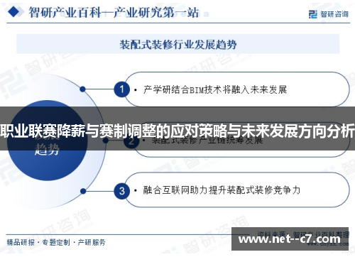 职业联赛降薪与赛制调整的应对策略与未来发展方向分析