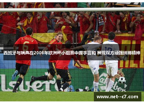 西班牙与瑞典在2008年欧洲杯小组赛中握手言和 展现双方顽强拼搏精神