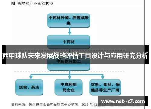 西甲球队未来发展战略评估工具设计与应用研究分析