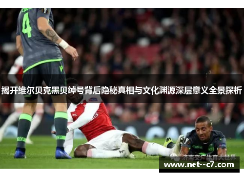 揭开维尔贝克黑贝绰号背后隐秘真相与文化渊源深层意义全景探析