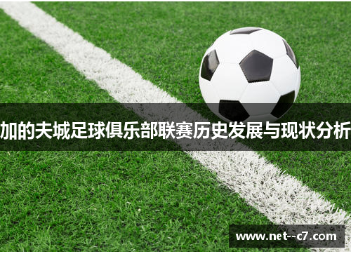 加的夫城足球俱乐部联赛历史发展与现状分析