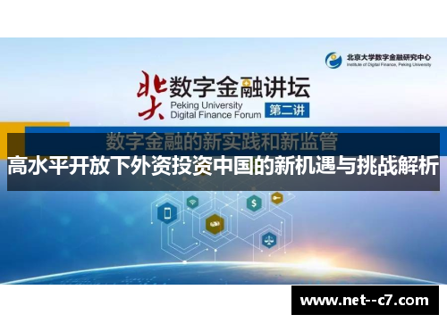 高水平开放下外资投资中国的新机遇与挑战解析