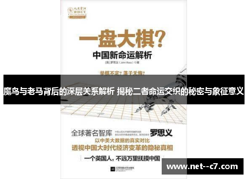魔鸟与老马背后的深层关系解析 揭秘二者命运交织的秘密与象征意义