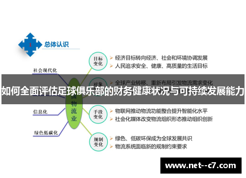 如何全面评估足球俱乐部的财务健康状况与可持续发展能力 如何全面评估足球俱乐部的财务健康状况与可持续发展能力