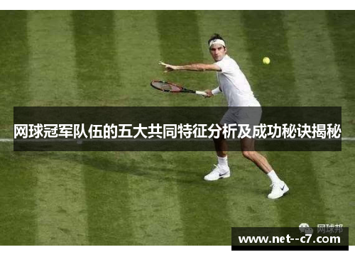 网球冠军队伍的五大共同特征分析及成功秘诀揭秘