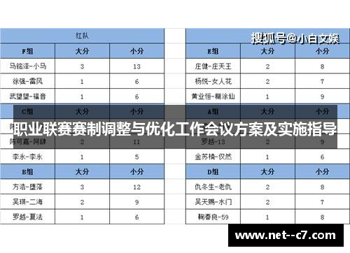 职业联赛赛制调整与优化工作会议方案及实施指导 职业联赛赛制调整与优化工作会议方案及实施指导