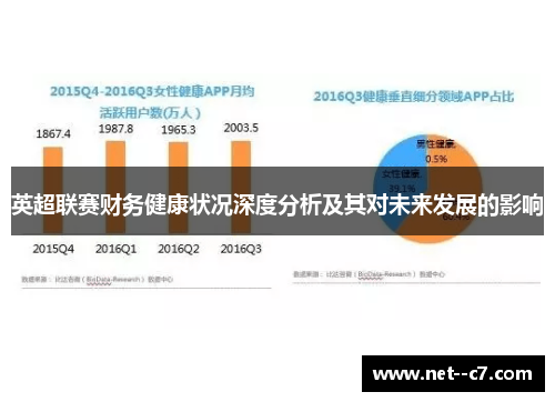 英超联赛财务健康状况深度分析及其对未来发展的影响