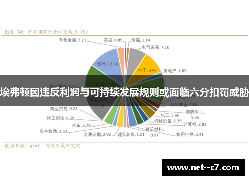 埃弗顿因违反利润与可持续发展规则或面临六分扣罚威胁