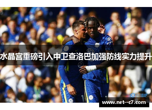 水晶宫重磅引入中卫查洛巴加强防线实力提升