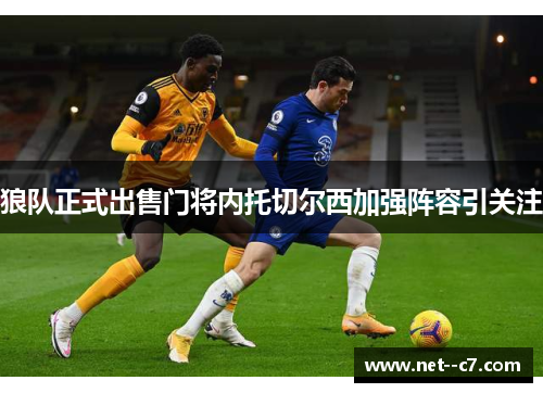 狼队正式出售门将内托切尔西加强阵容引关注 狼队正式出售门将内托切尔西加强阵容引关注