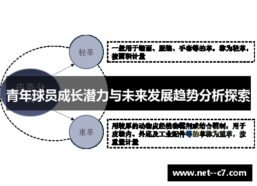 青年球员成长潜力与未来发展趋势分析探索